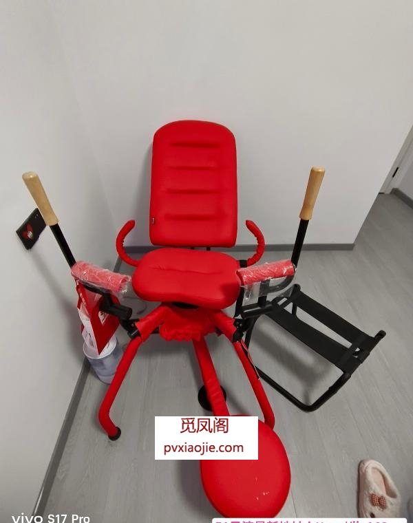 武汉奶兔